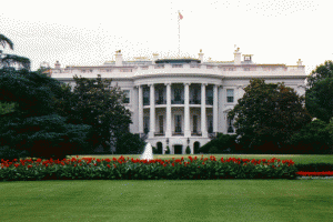 whitehouse The Governement needs to take proactive measures to stop the DUI problem rather than using the same old methods